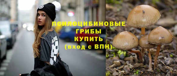 apvp Новокубанск