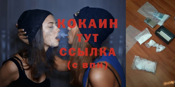 каннабис Новозыбков