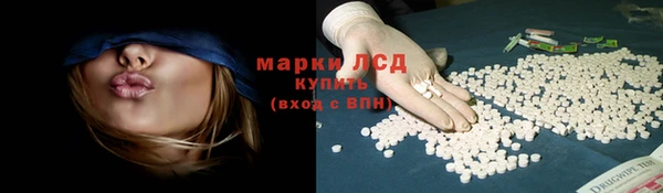 каннабис Новозыбков