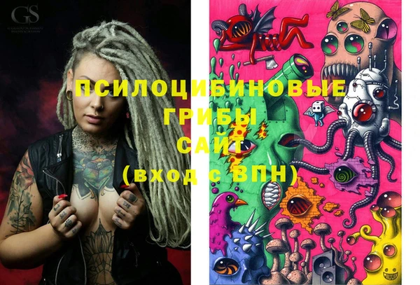 каннабис Новозыбков